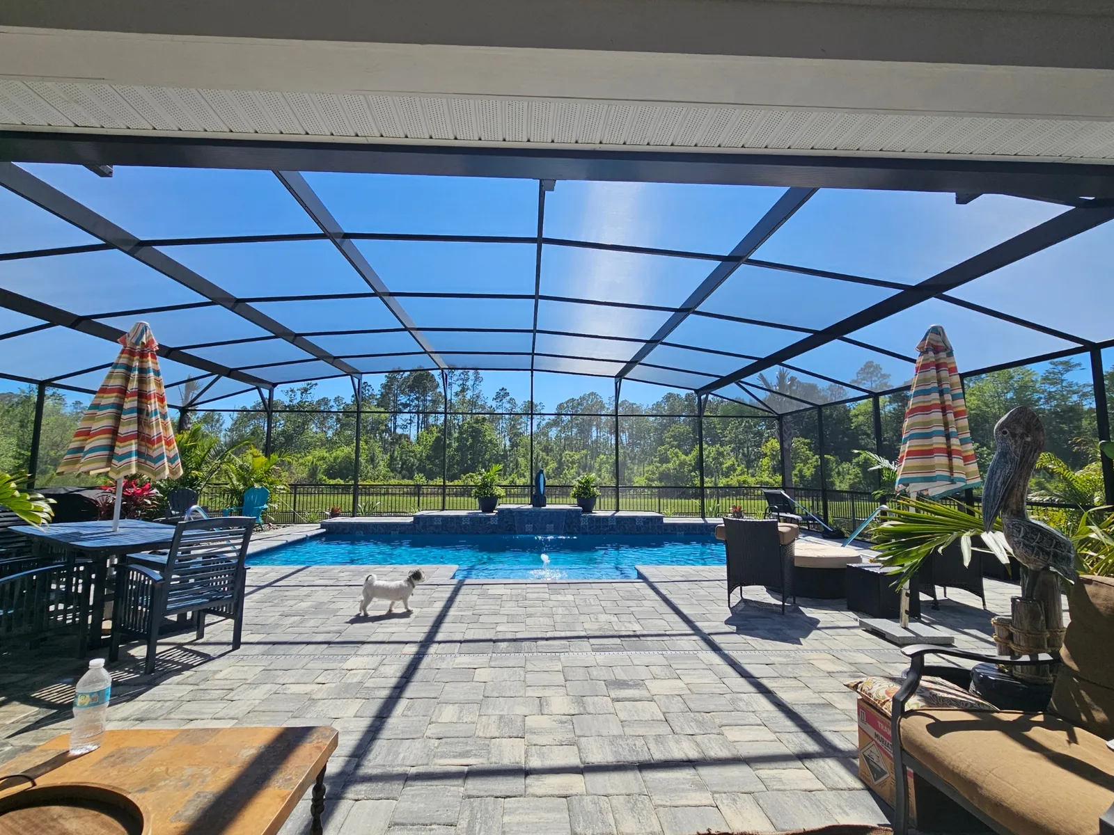 Screen-enclosed pool with raised water feature and paver deck backing to a preserve
